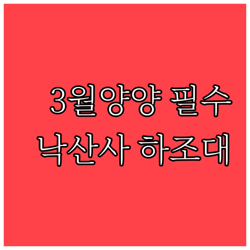 낙산사와 하조대에서 즐기는 3월 양양..