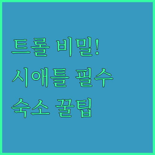 시애틀 프리몬트 트롤 다리 아래 괴물..