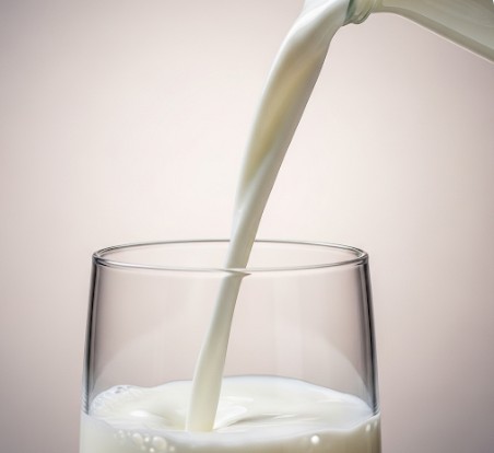 성장기에 좋은 단백질 음식 우유