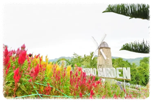 시라오 플라워 가든