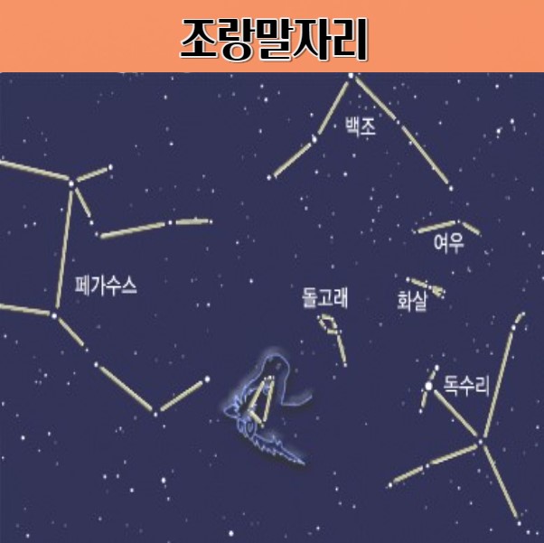 조랑말 별자리