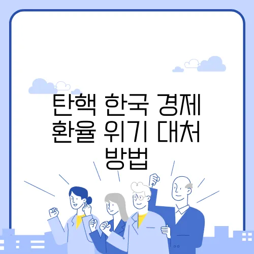 탄핵 한국 경제 환율 위기 대처 방법