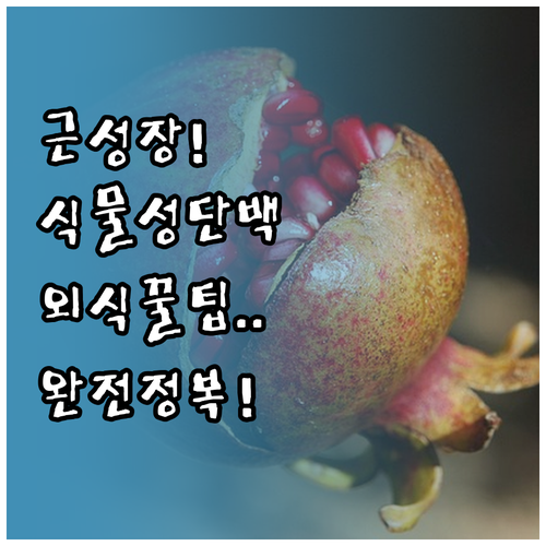 바쁜 일상을 위한 간편 식물성 단백질..