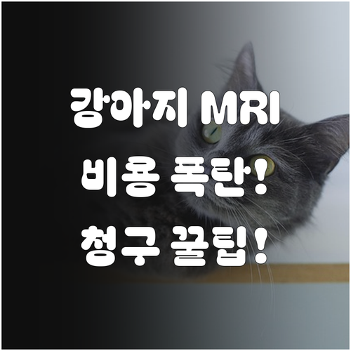 강아지 MRI 비용 50~120만원,..