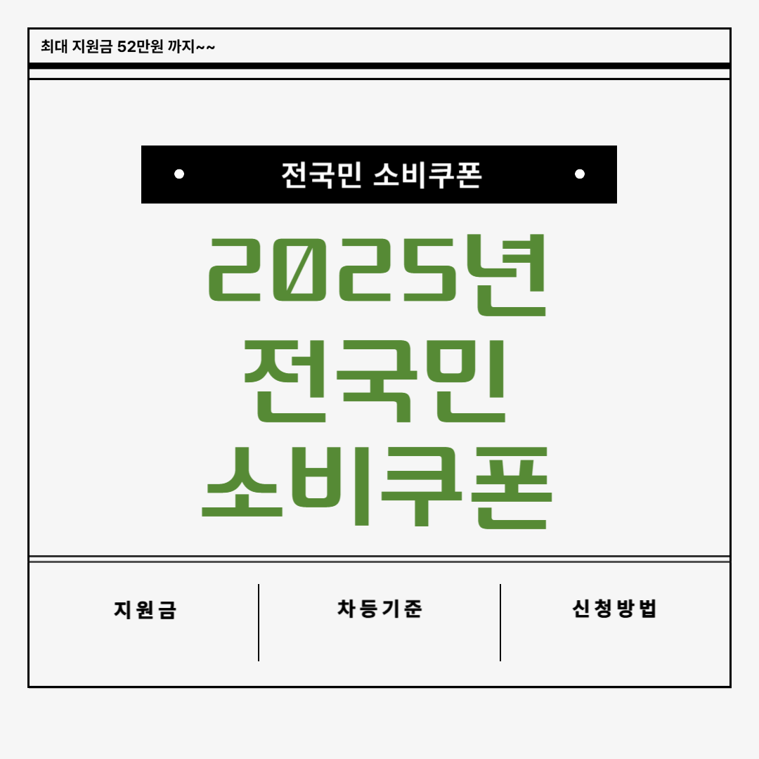 2025년 전국민 소비쿠폰 지원금