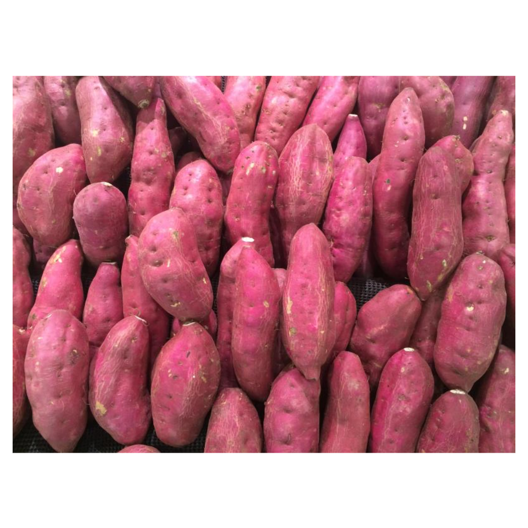 골다공증과 관련된 사진입니다.