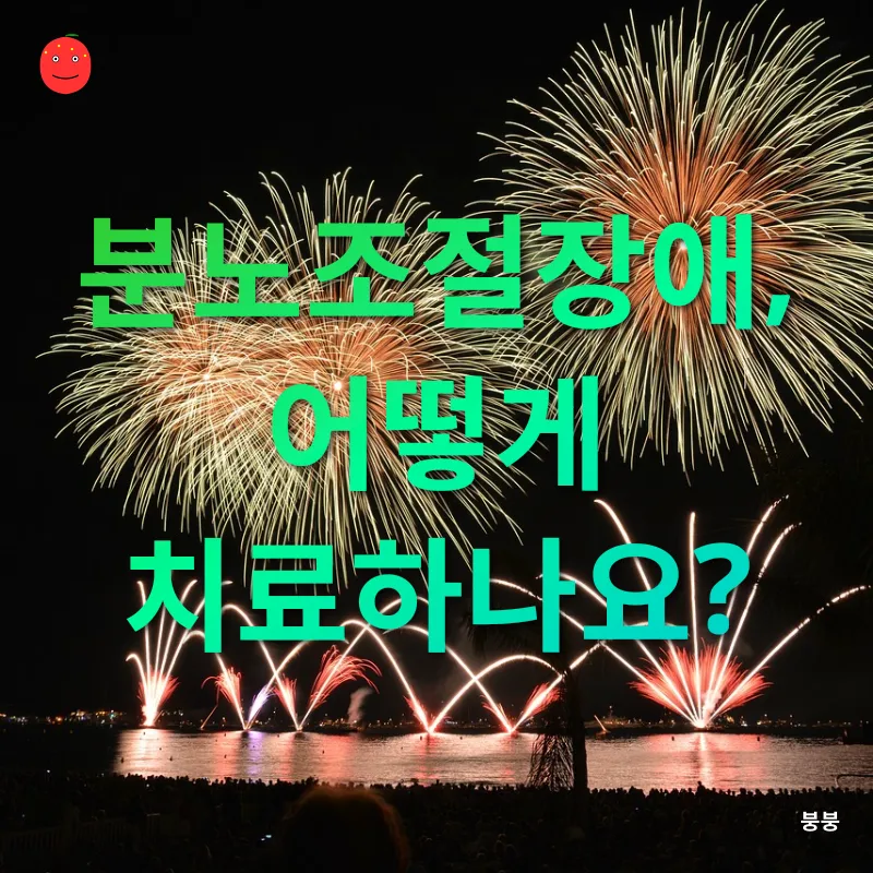 분노조절장애_3
