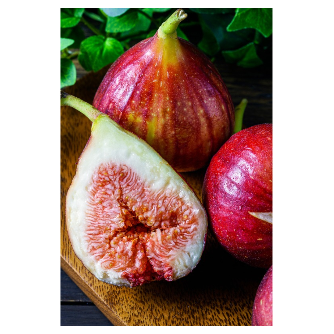 무화과와 관련된 사진입니다.