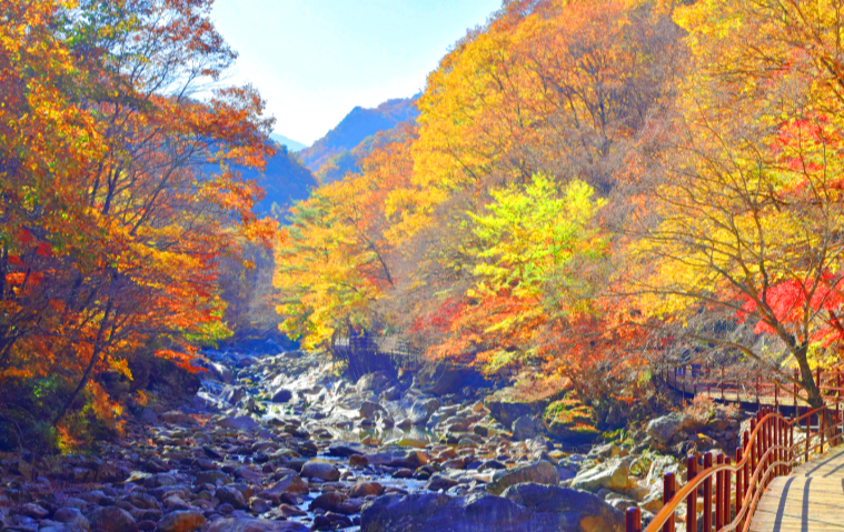 지리산 뱀사골 단풍