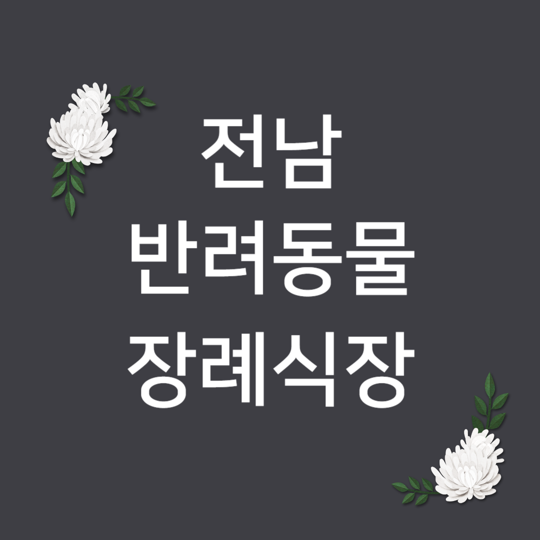 전남 반려동물 장례식장