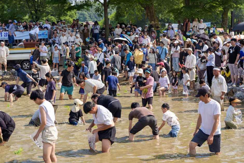 증평 장뜰들노래축제