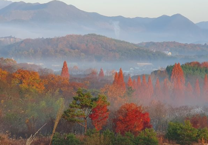 2025 충청도 단풍 명산 코스 추천 ❘ 월악산&middot;계룡산&middot;속리산 절정 시기