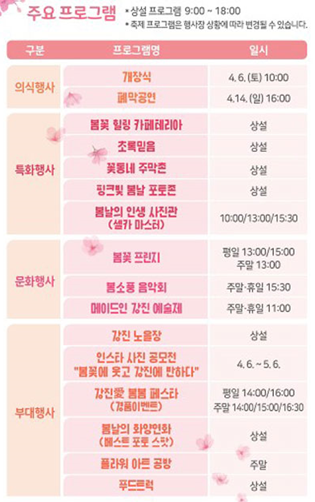 강진 서부해당화 봄꽃 축제