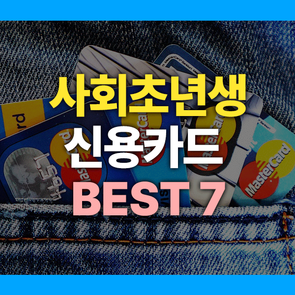 사회초년생 신용카드 가이드|첫 월급으로 똑똑하게 시작하는 카드 BEST 7