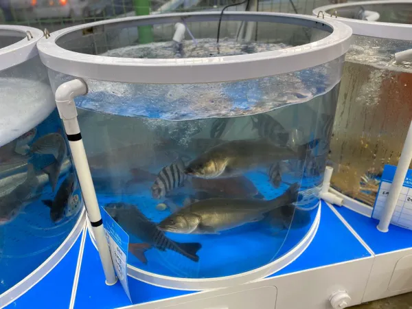 생생정보 장사의 신 산더미물회