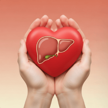 지방간 종류별 맞춤 관리법17