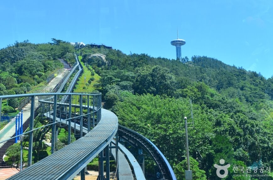 완도 가볼만한곳 베스트 10