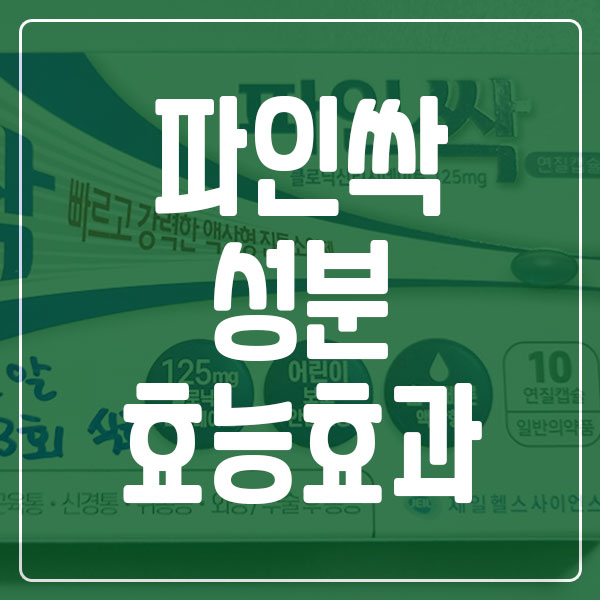 파인싹 성분-효능-효과-가격