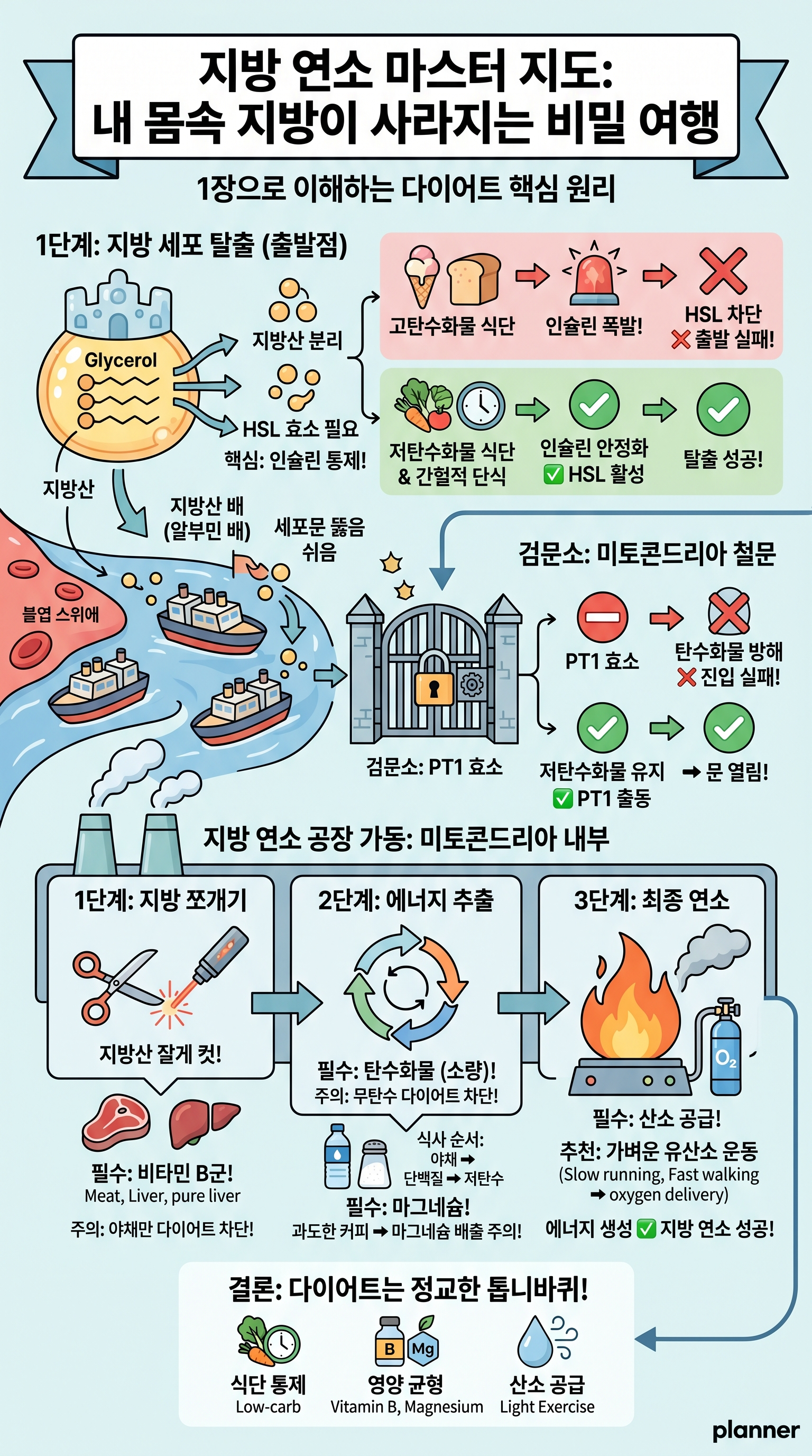 지방연소_다이어트_건강_식단