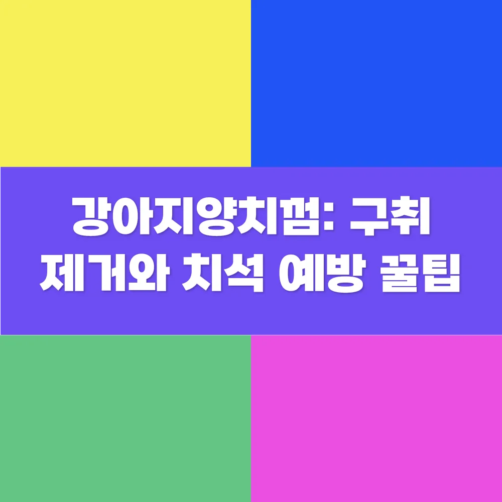 썸네일 이미지