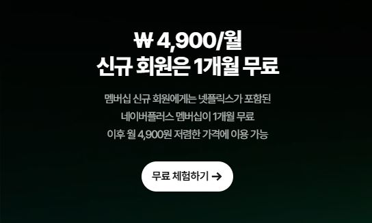 넷플릭스 이용권