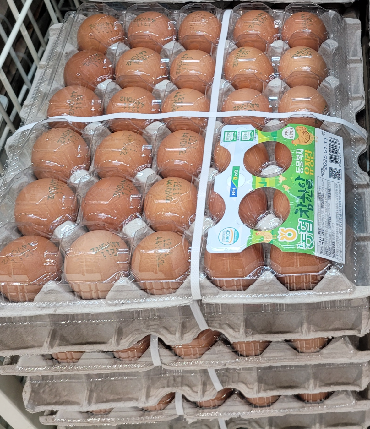 신선하고 좋은 계란 고르는 법2