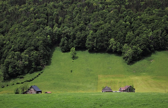 태백천상의산나물축제일정