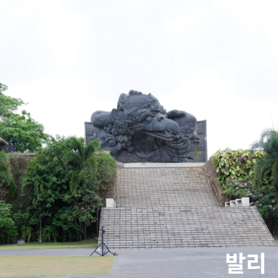 9월아기발리