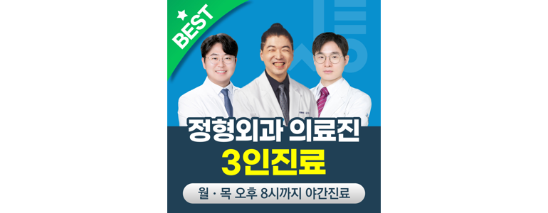 서울 송파구 정형외과