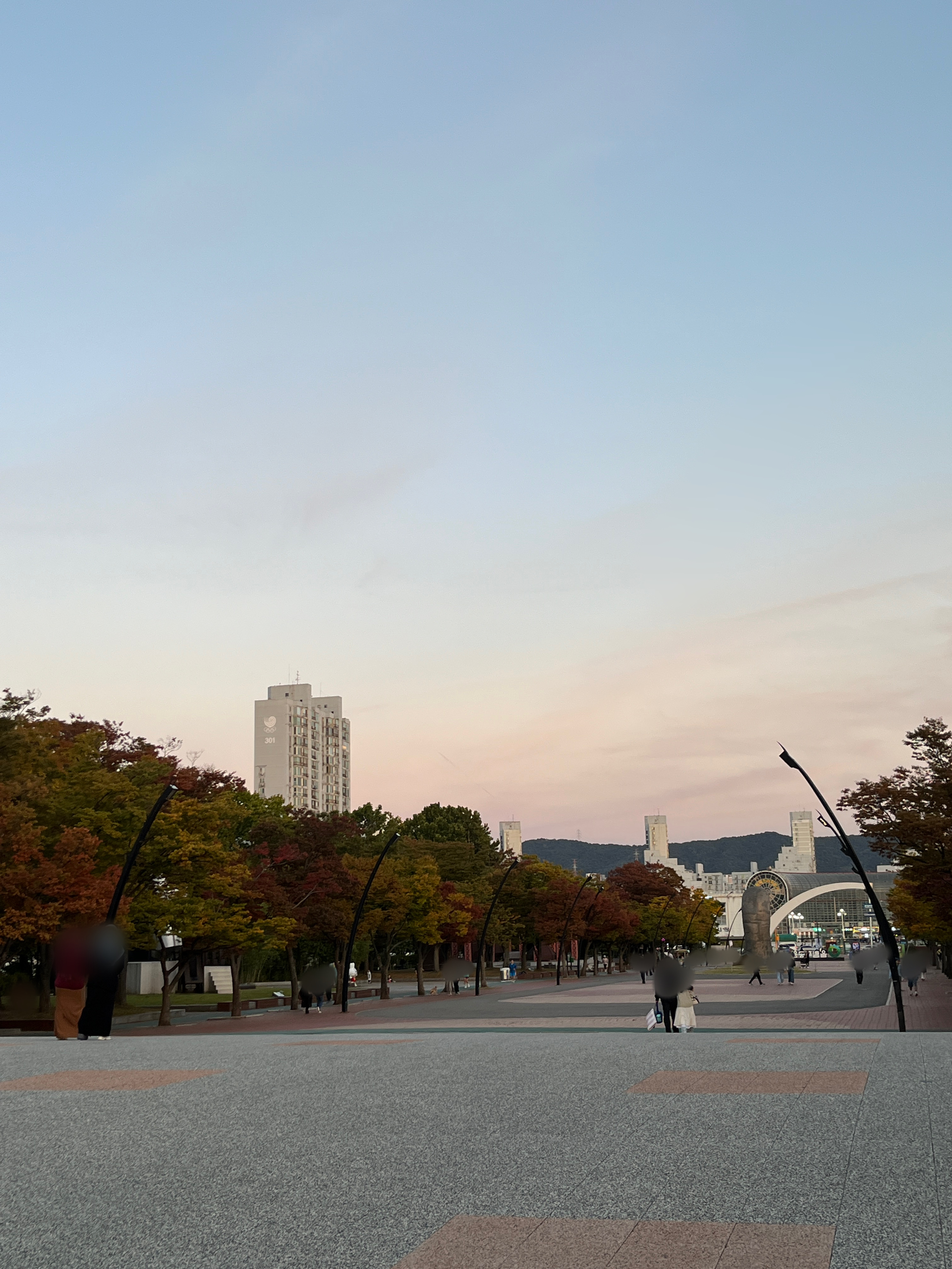 올림픽공원 나홀로나무