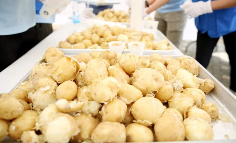 서산 팔봉산 감자축제 일정 장소 공연 체험