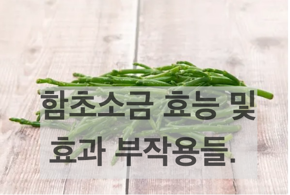 함초소금 효능 및 효과 부작용들.