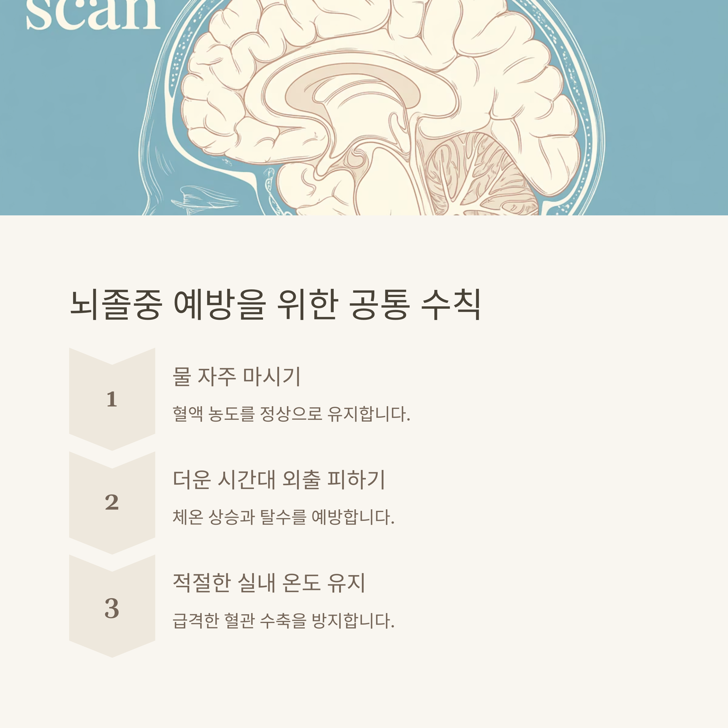 여럼철 만성 질환 관리