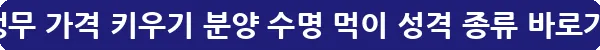 왕관앵무 가격 키우기 분양 수명 먹이 성격 종류_8