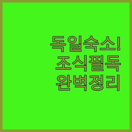 프랑크푸르트 자유여행 숙소 5곳 장단..