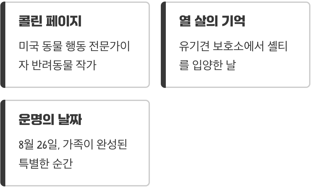 8월 26일에 숨겨진 이야기