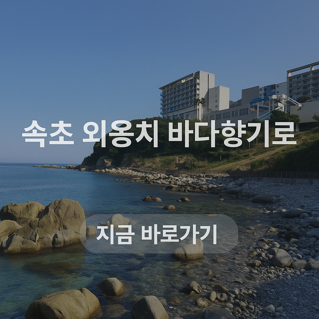 속초 외옹치 바다향기로 주차장 가는길