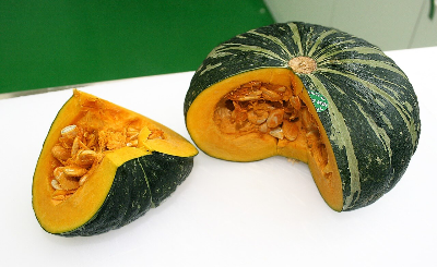 단호박 사진