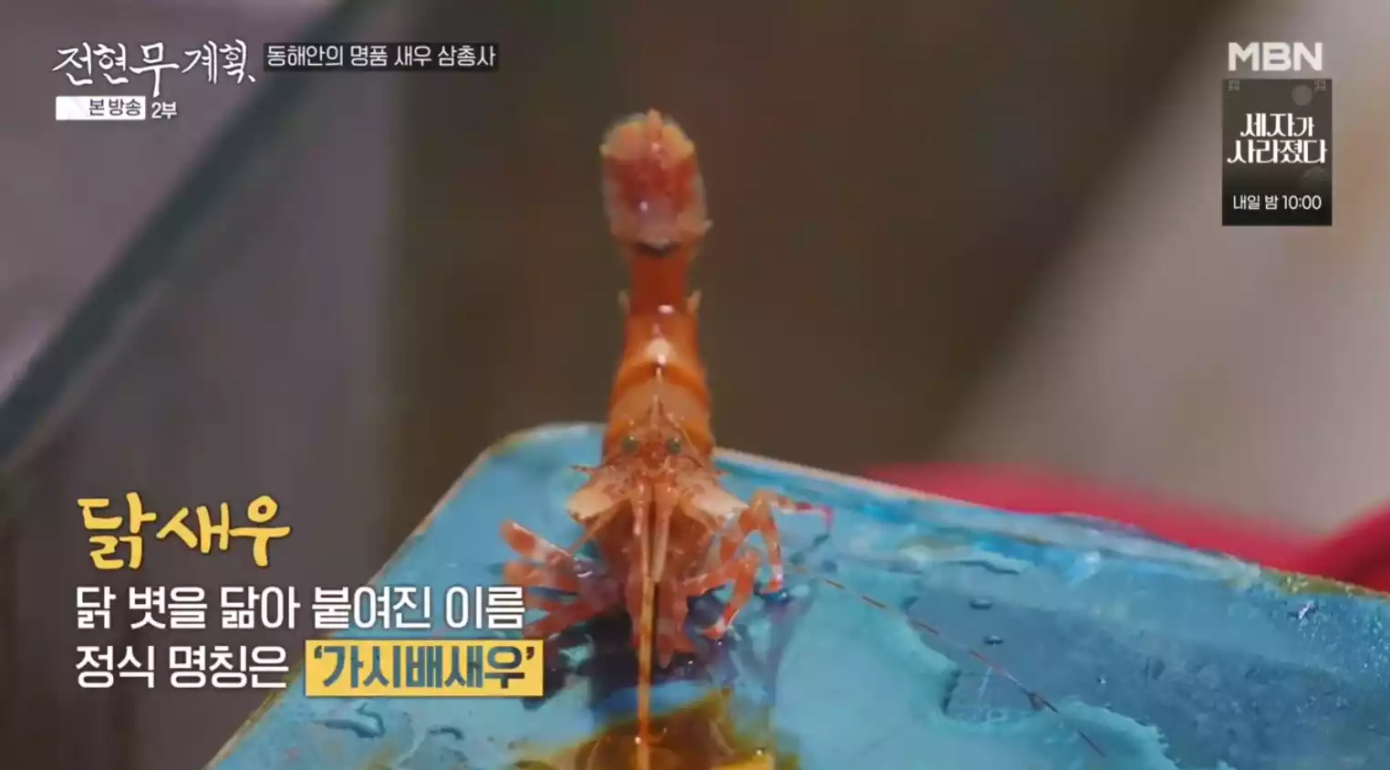 닭새우