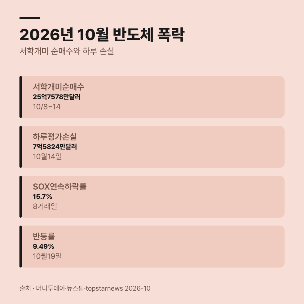 2026년 10월 폭락장에서 나타난 서학개미 순매수 규모는 얼마인가요?
