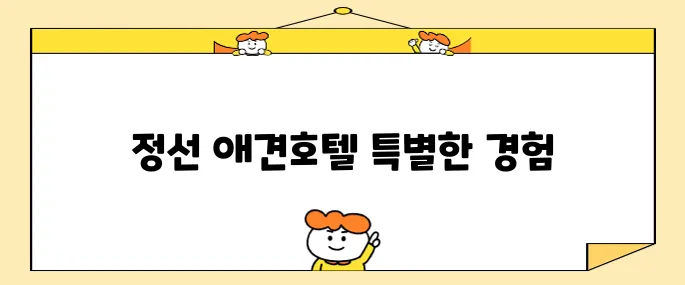 정선 여행에서 가성비 좋은 애견동반 호텔 메이힐스를 추천합니다.