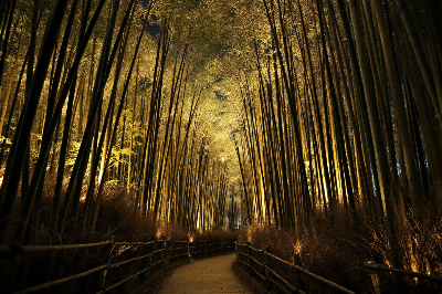 일본 겨울에 꼭 가봐야 할 야경 명소