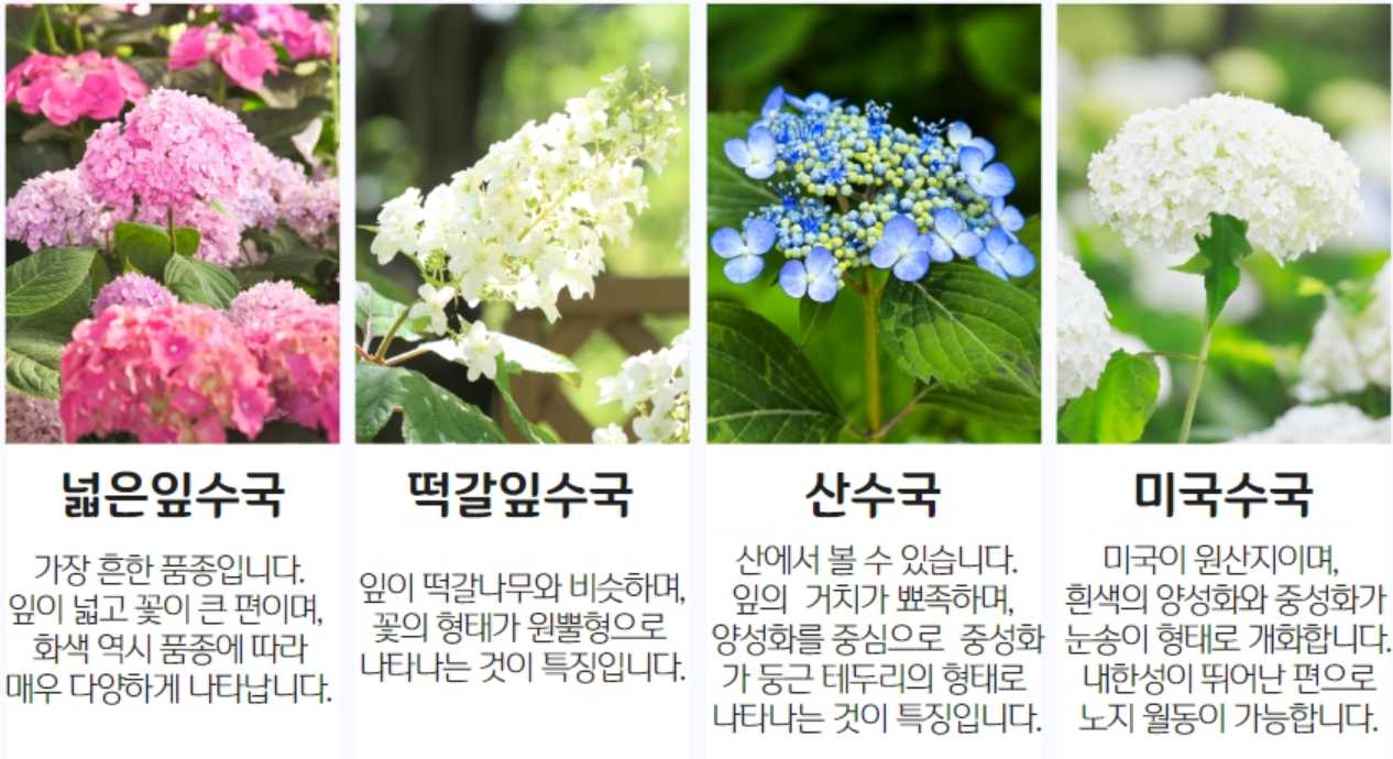 아침고요수목원