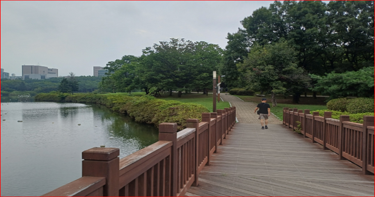 아침 공원에서 물병을 든 초보 러너가 천천히 조깅을 시작하는 모습