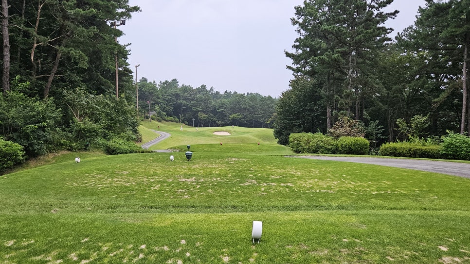 골프장 경험담 여주 세라지오CC 자연 속에서 즐기는 프리미엄 퍼블릭 골프장의 품격