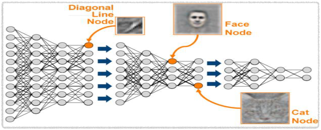 딥 러닝(Deep Learning) 개념도