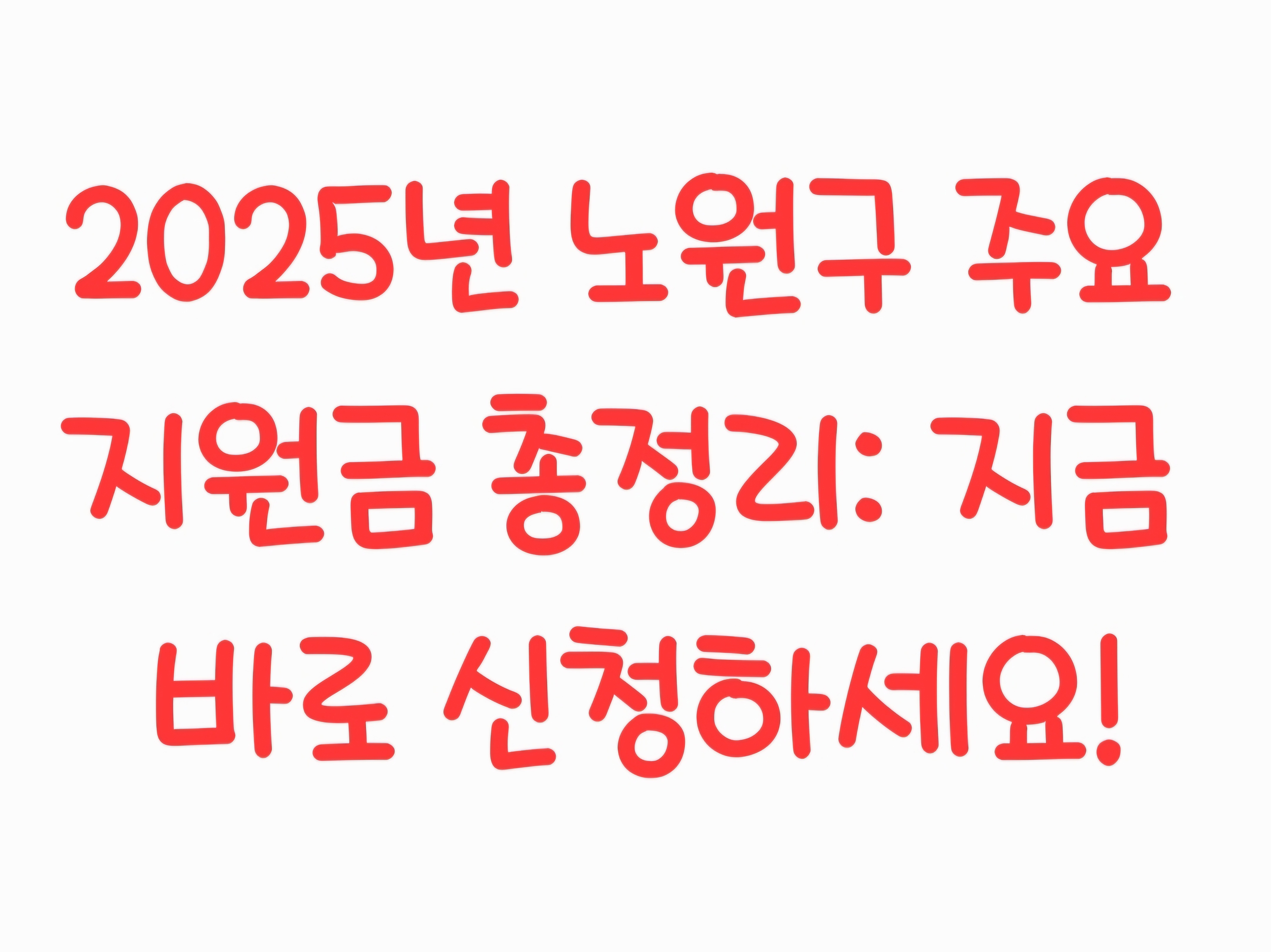 2025년 노원구 주요 지원금 총정리: 지금 바로 신청하세요!
