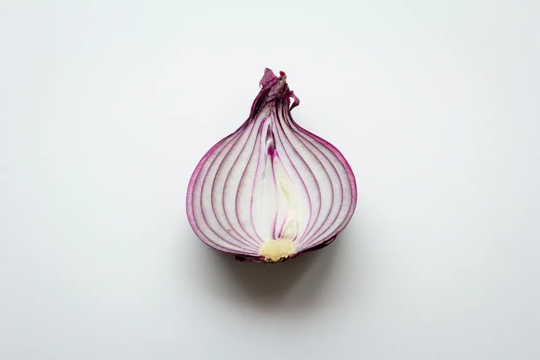 양파-사진