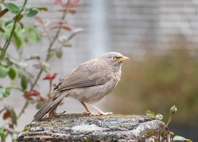 폭삭 속았수다 뜻과 실제 사용 예시_9