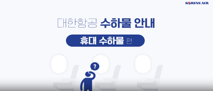 기내수하물사진